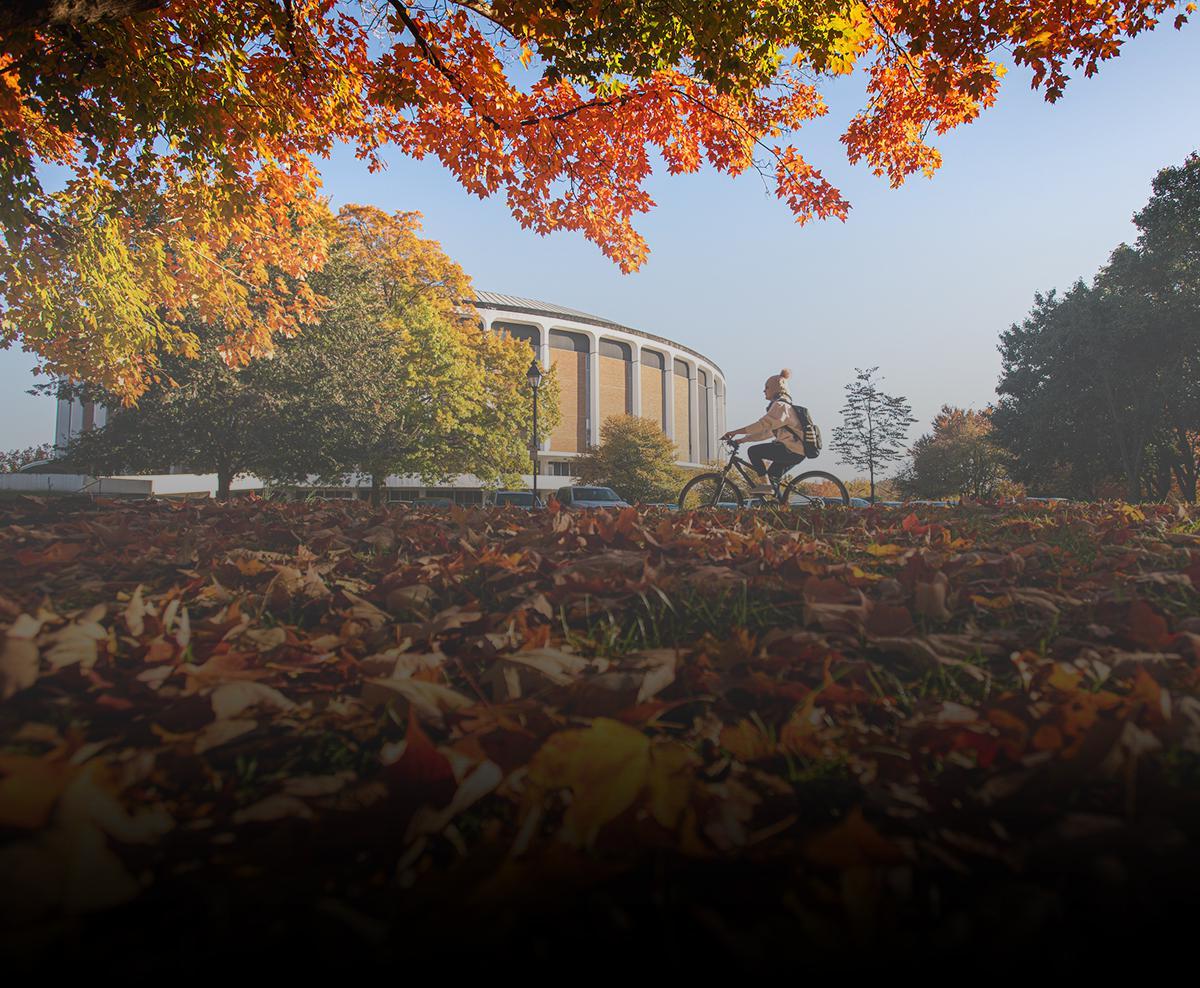 Fall leaves on campus with black gradient